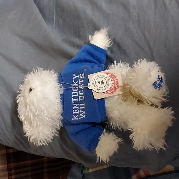 Kentucky boyds bear - Picture 1 of 2